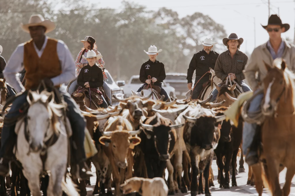 Several cowboys driving cattle