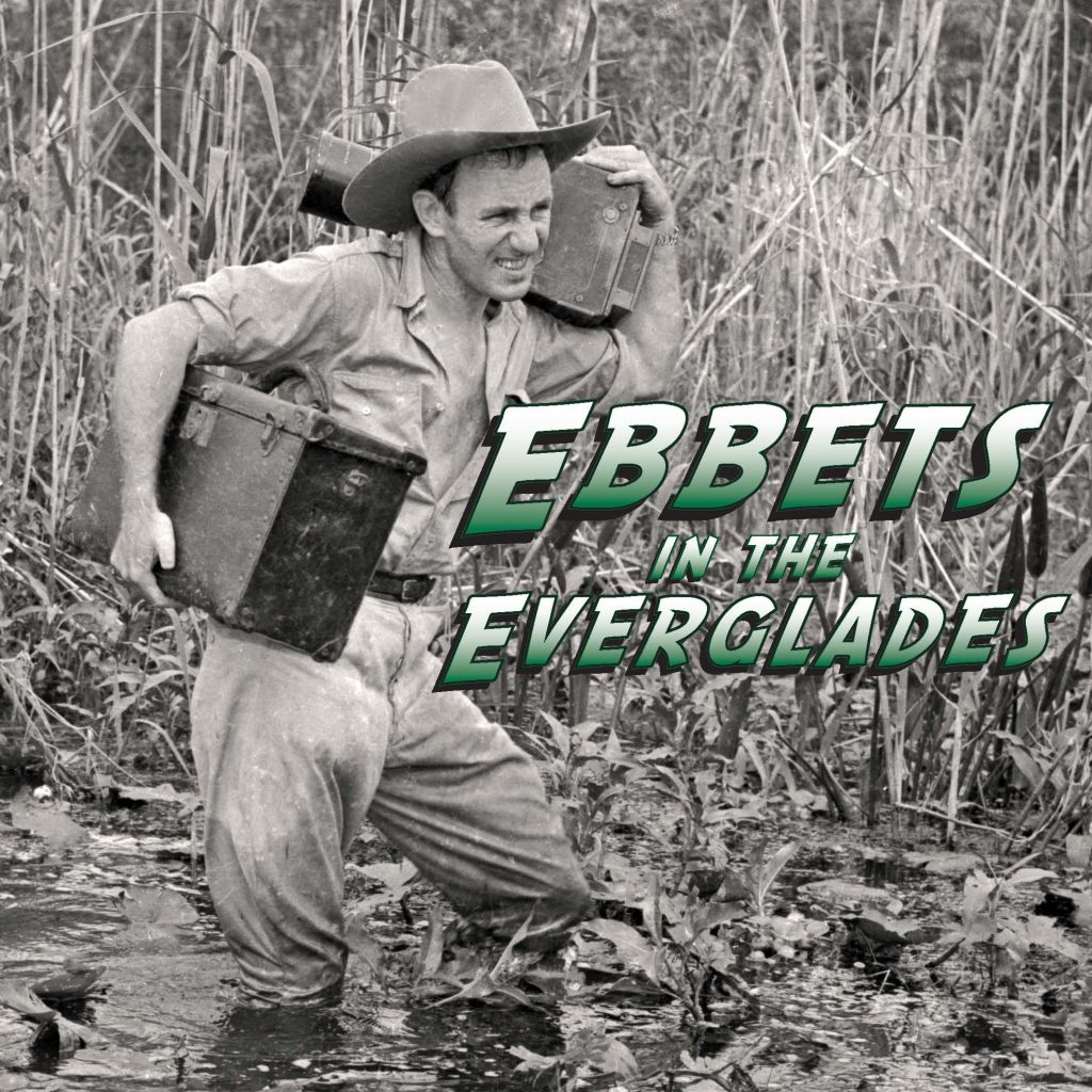 Black and white photograph of Charles Ebbets lugging camera equipment through the Everglades