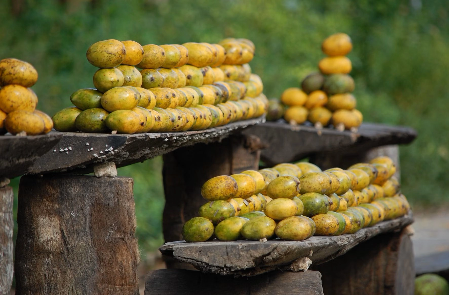Many stacked mangos on wood boards