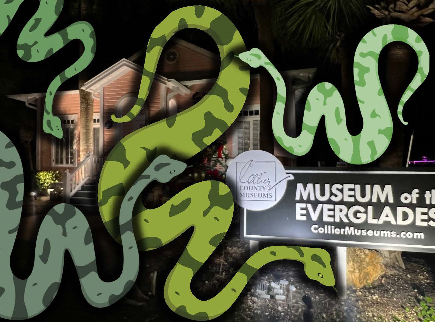Green snakes drawn over a photo of Museum of the Everglades